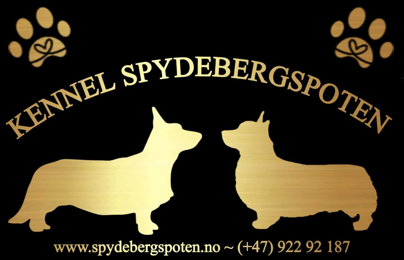 Spydebergspoten 