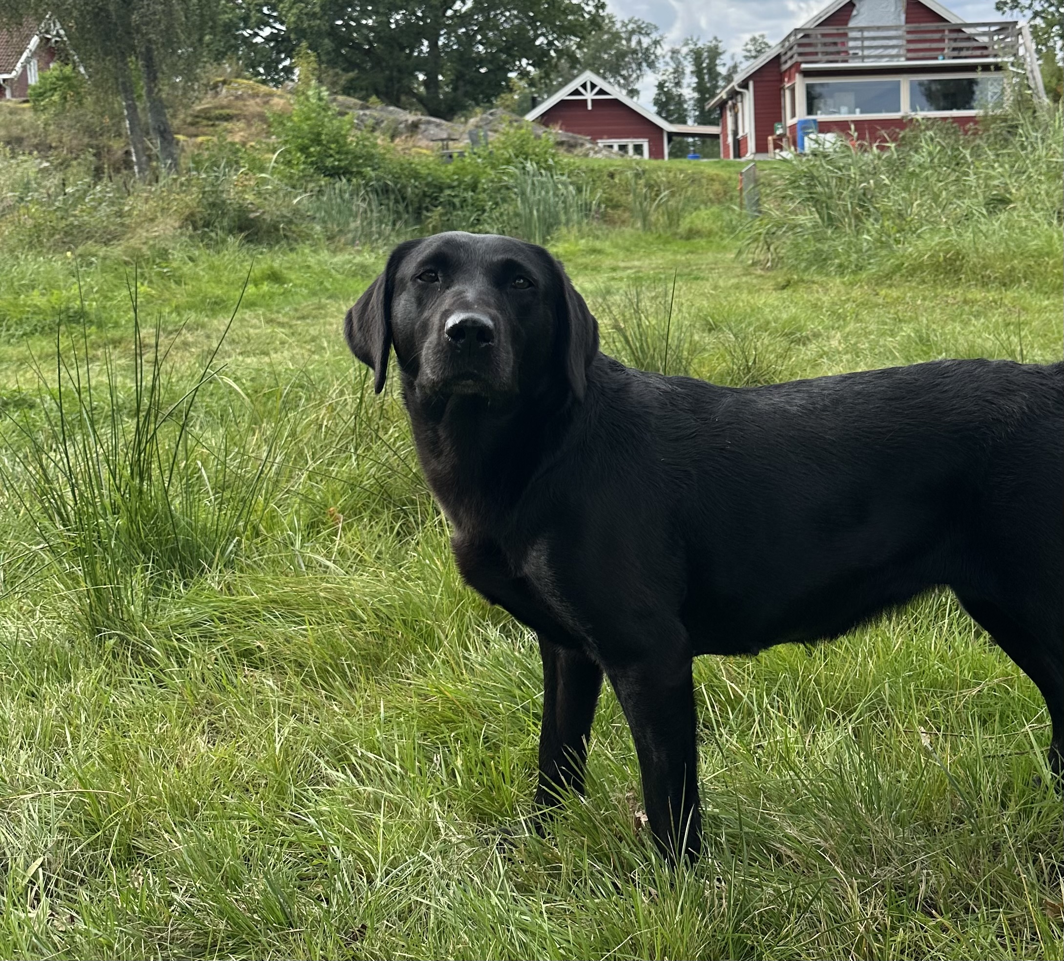 Soft Rush Diddi’s Keeper