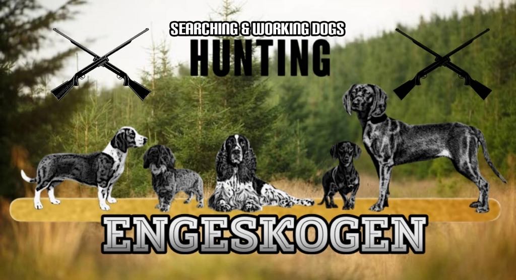 Engeskogen