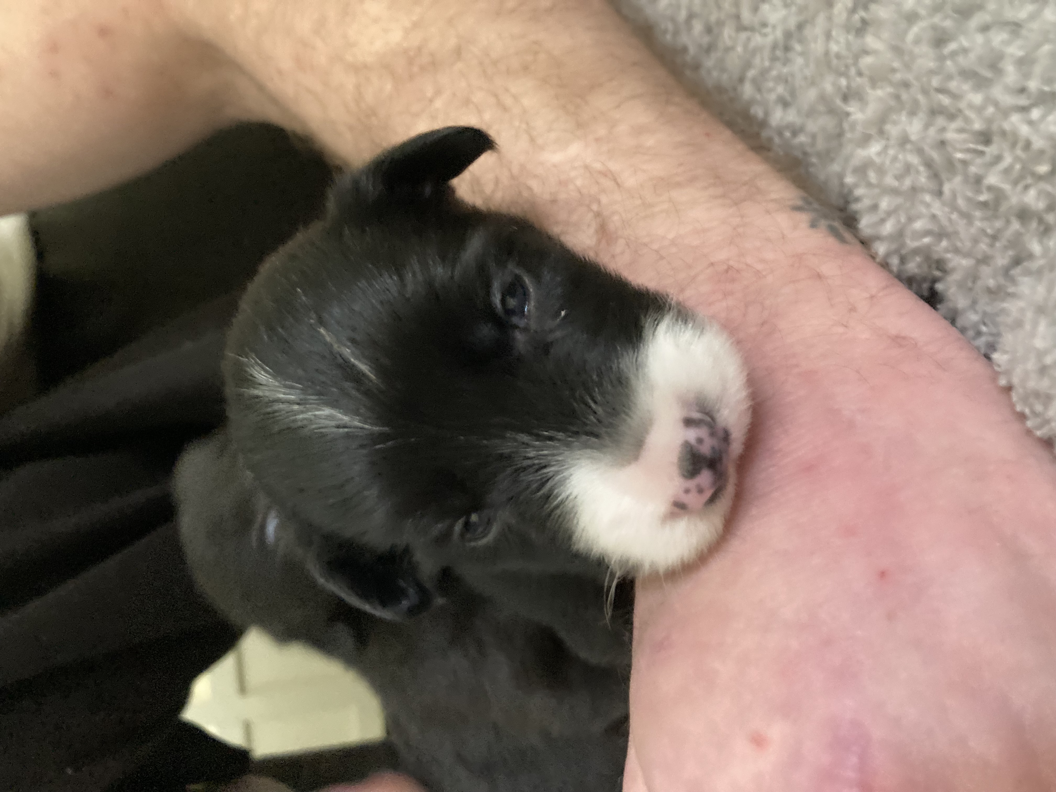 Minni Minni