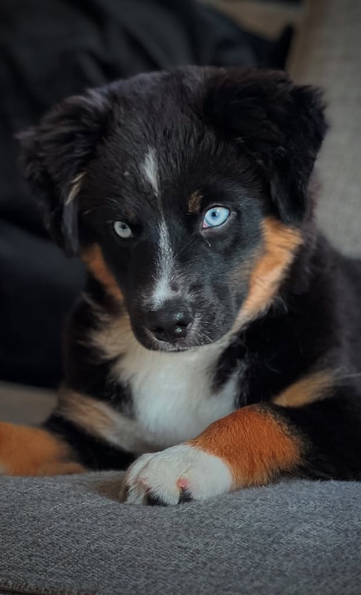 Jenny og Rune  Gusterud 