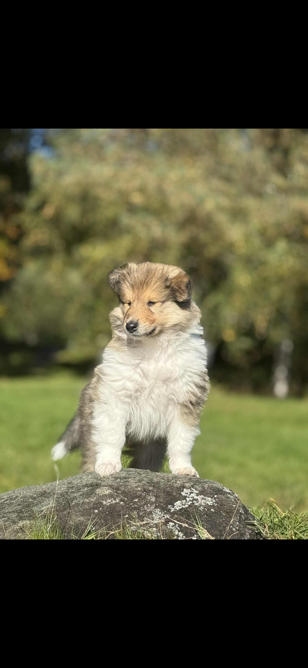 BeautyFluff Somebody to love BeautyFluff Somebody to love