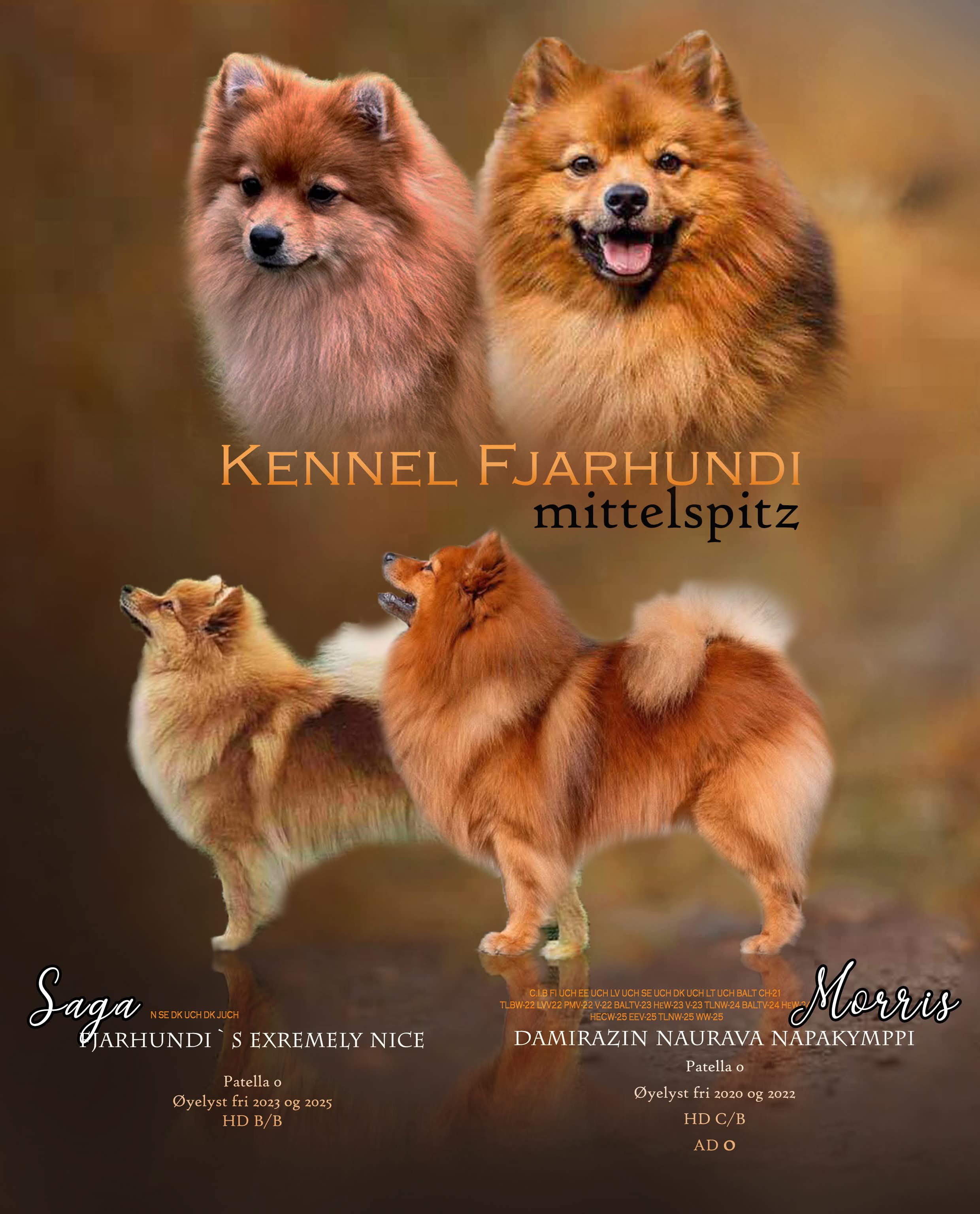 Fjarhundi`s H-kull