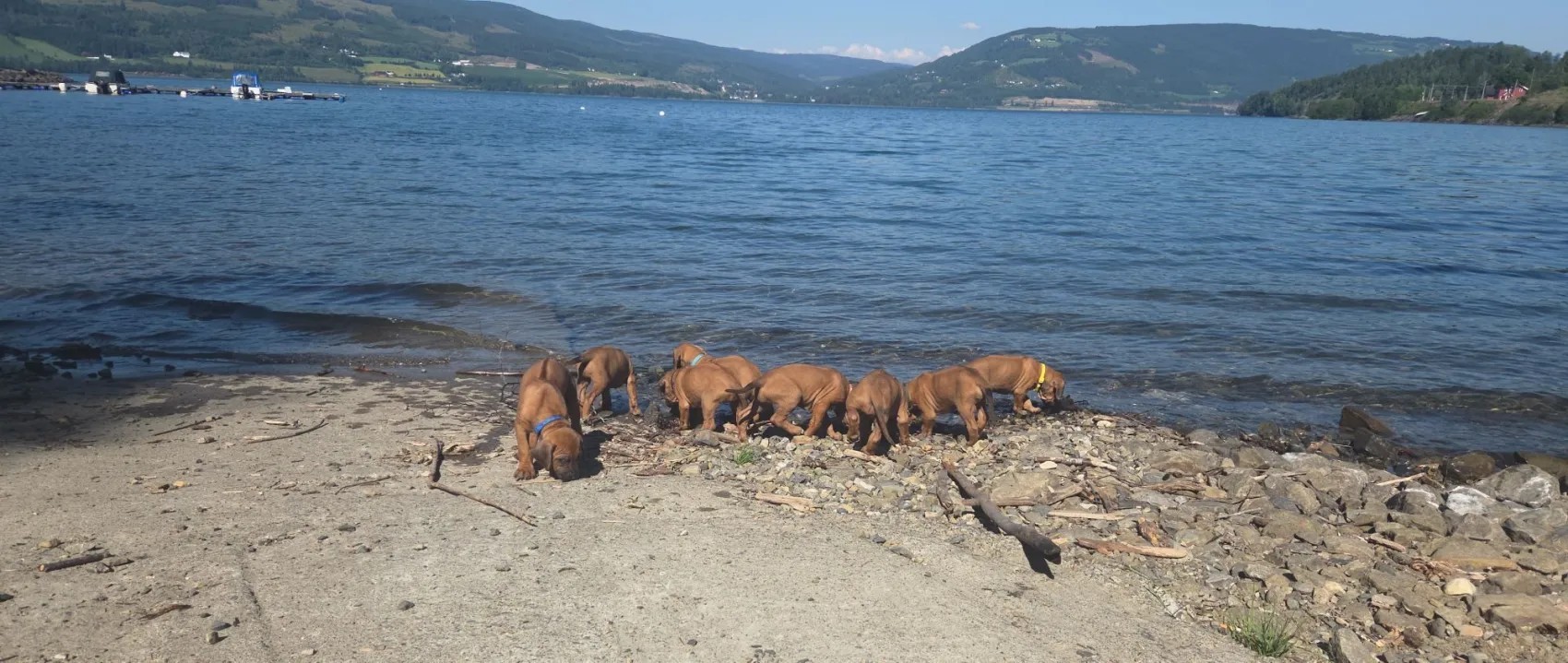 Anita Menkerud Anita Menkerud