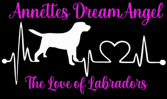 Kennel Annettes DreamAngel