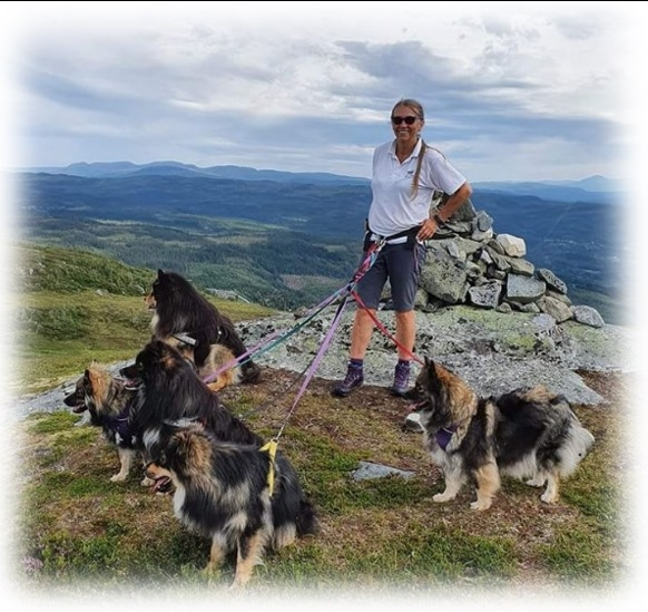 Fjellvandreren