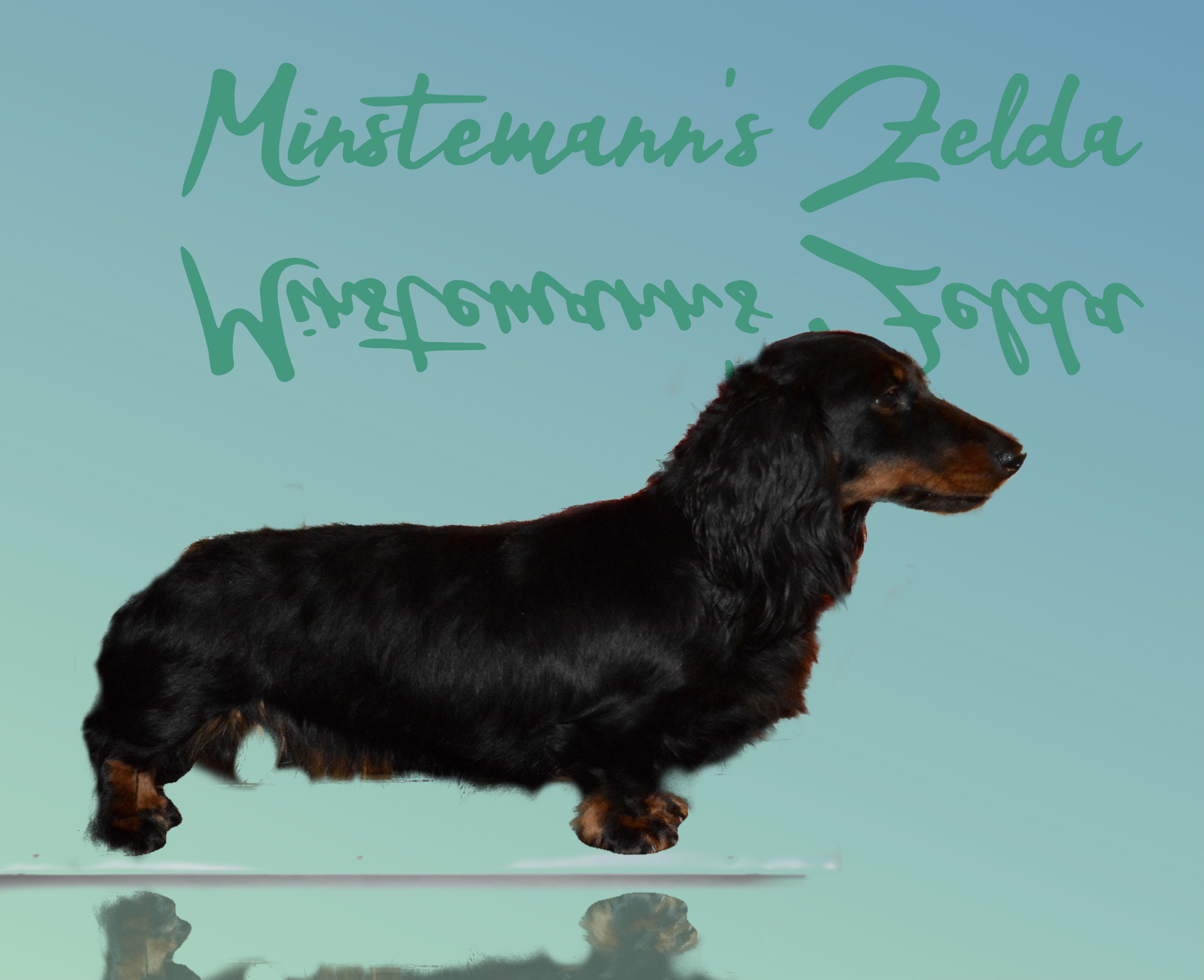 Minstemann’s Zelda