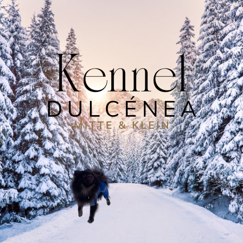 Kennel Dulcénea 