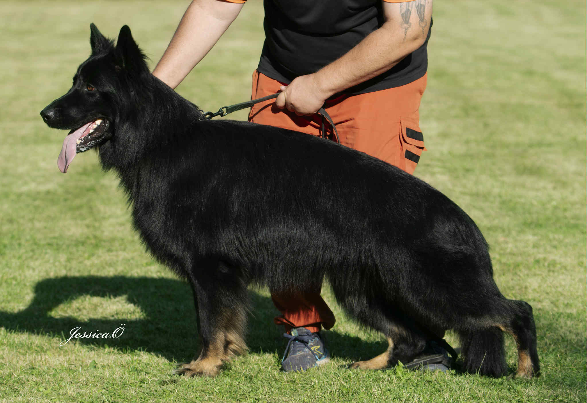 Que Sera Sera Fantastic Zlatan