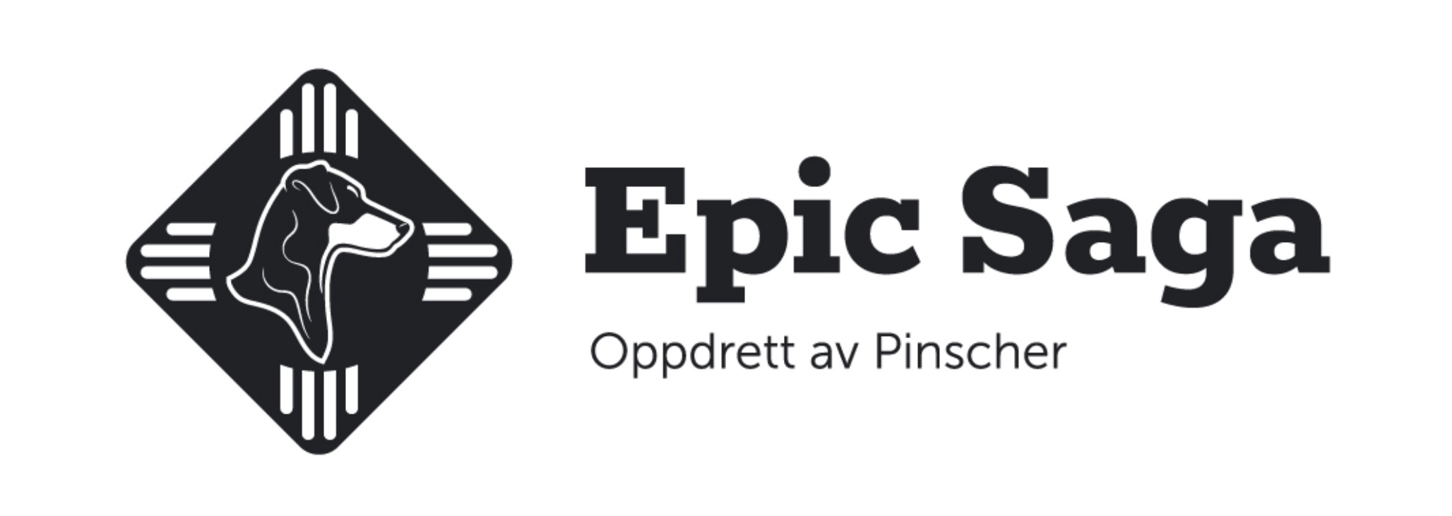 Epic Saga