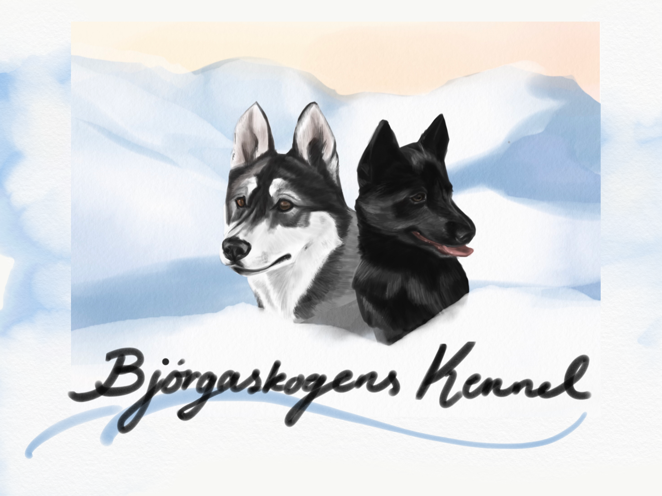 Bjørgaskogen Kennel