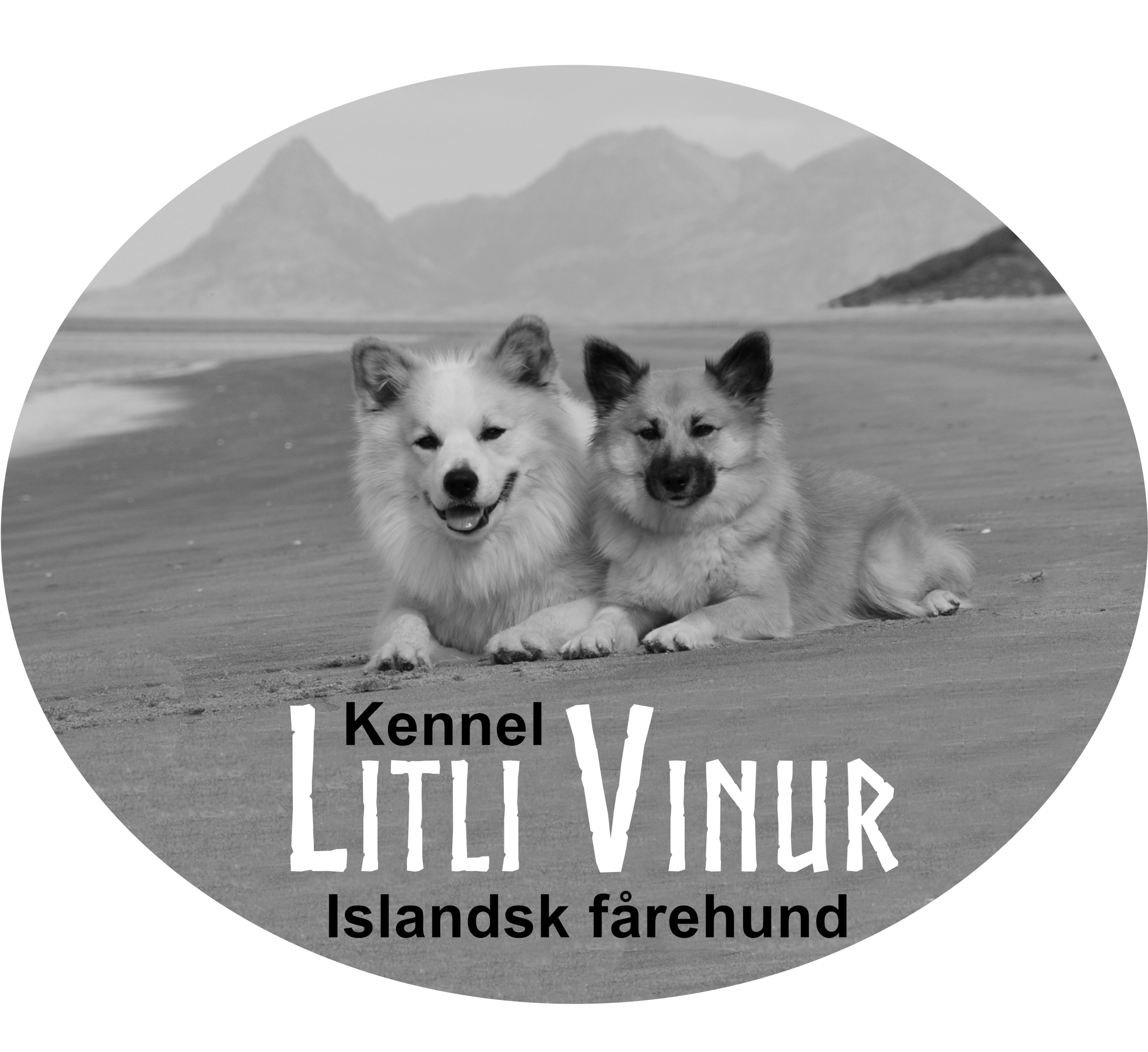 Litli Vinur