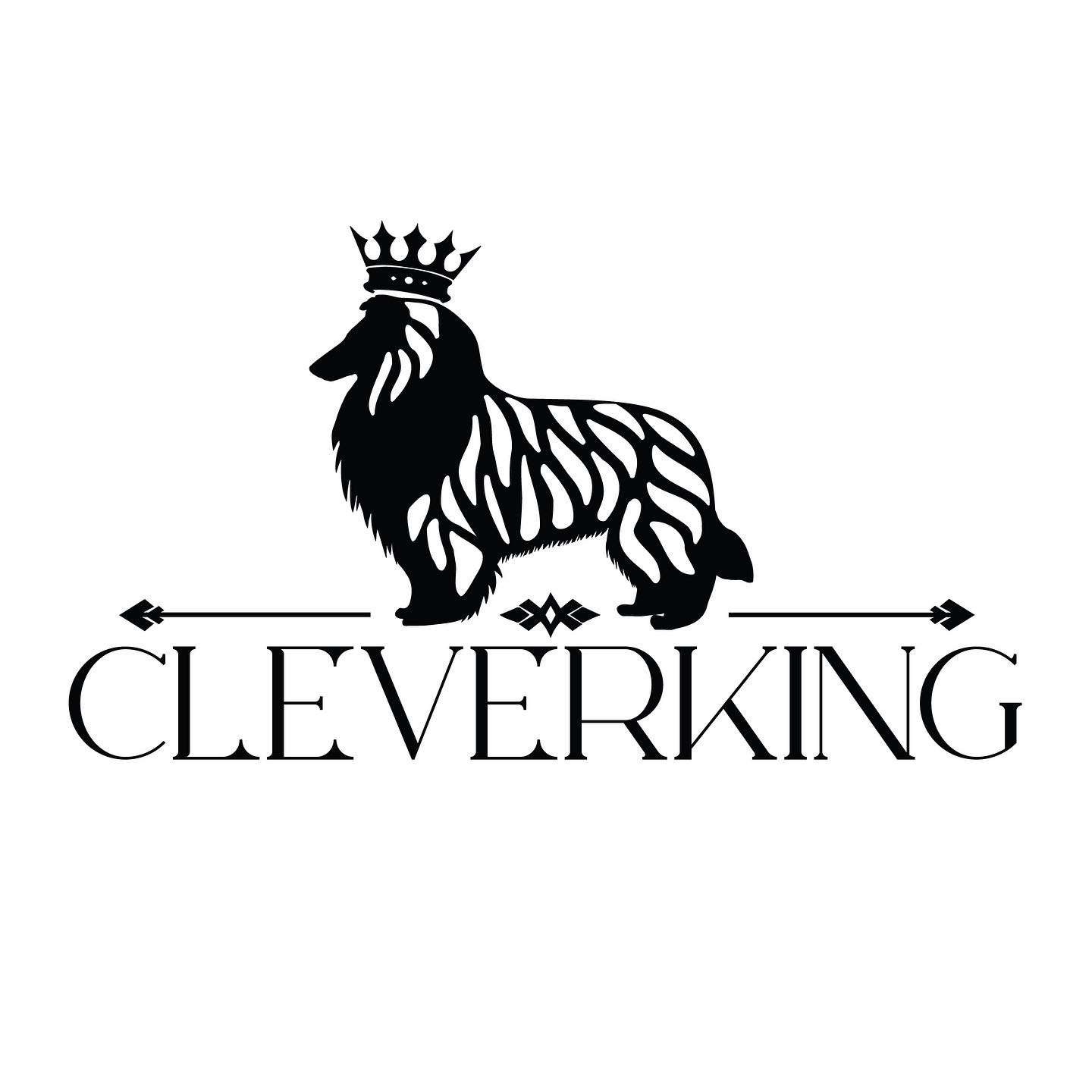 Cleverking