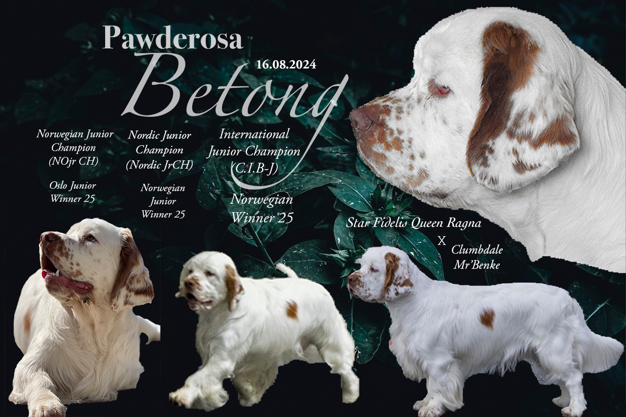Pawderosa Betong Pawderosa Betong