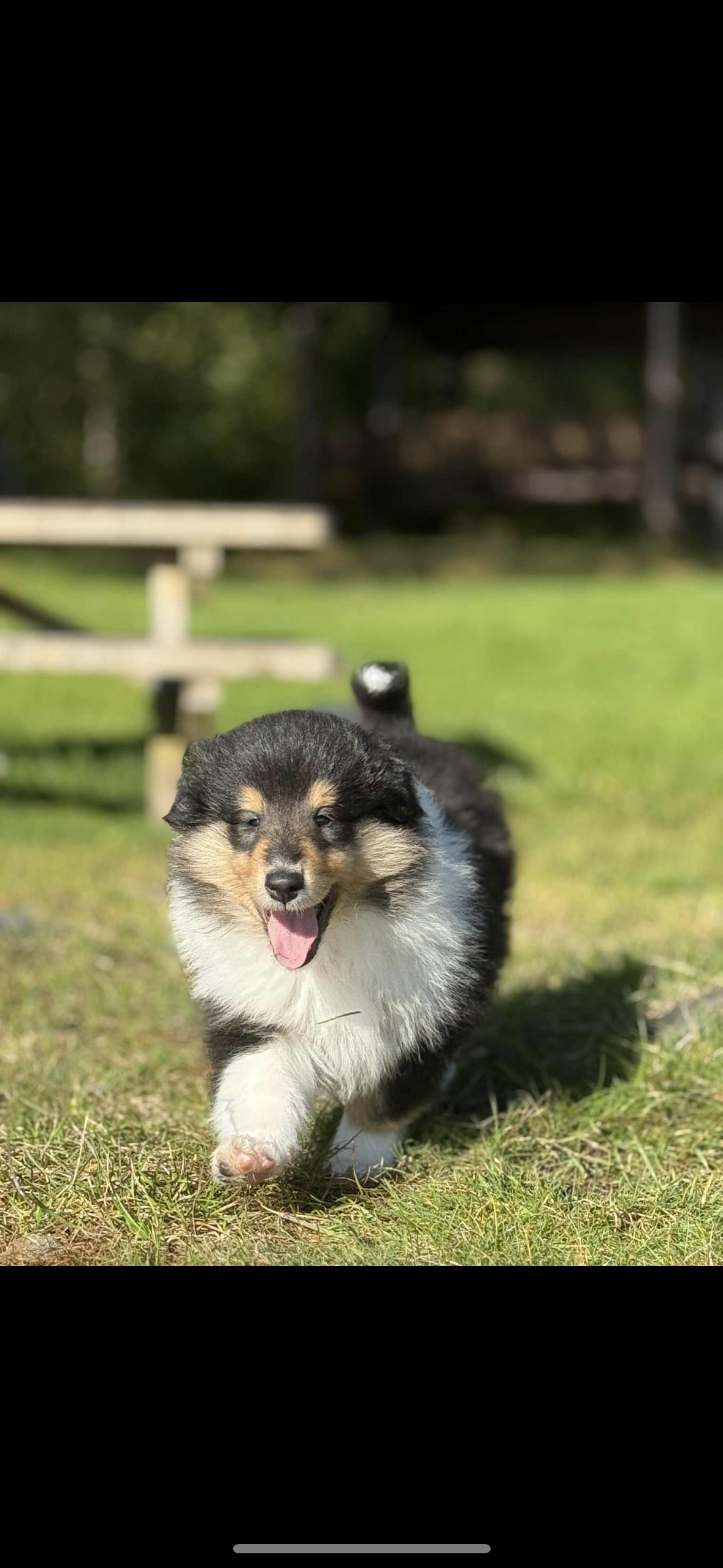 BeautyFluff Born to love you BeautyFluff Born to love you