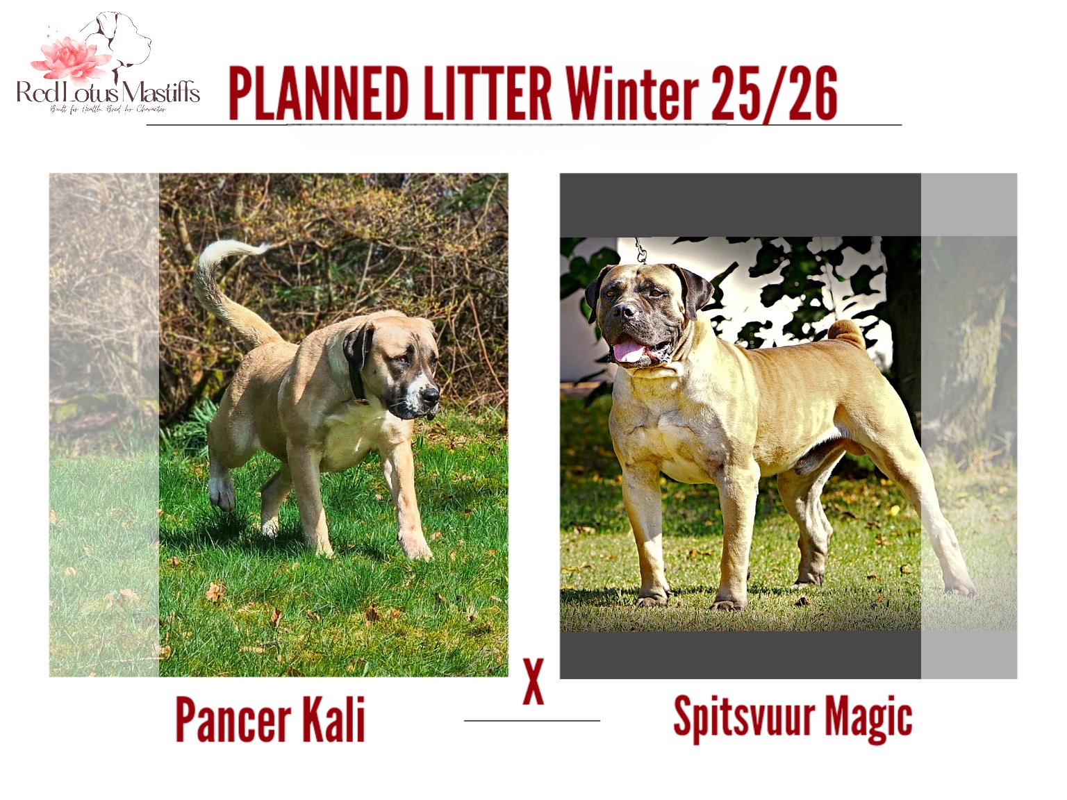 Vinter 2025/2026