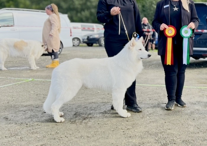 Zalto av White Rewyr Zalto av White Rewyr