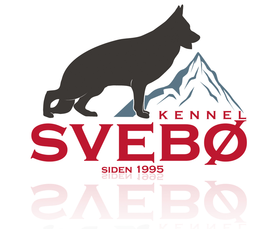 Svenn Børre Steisland