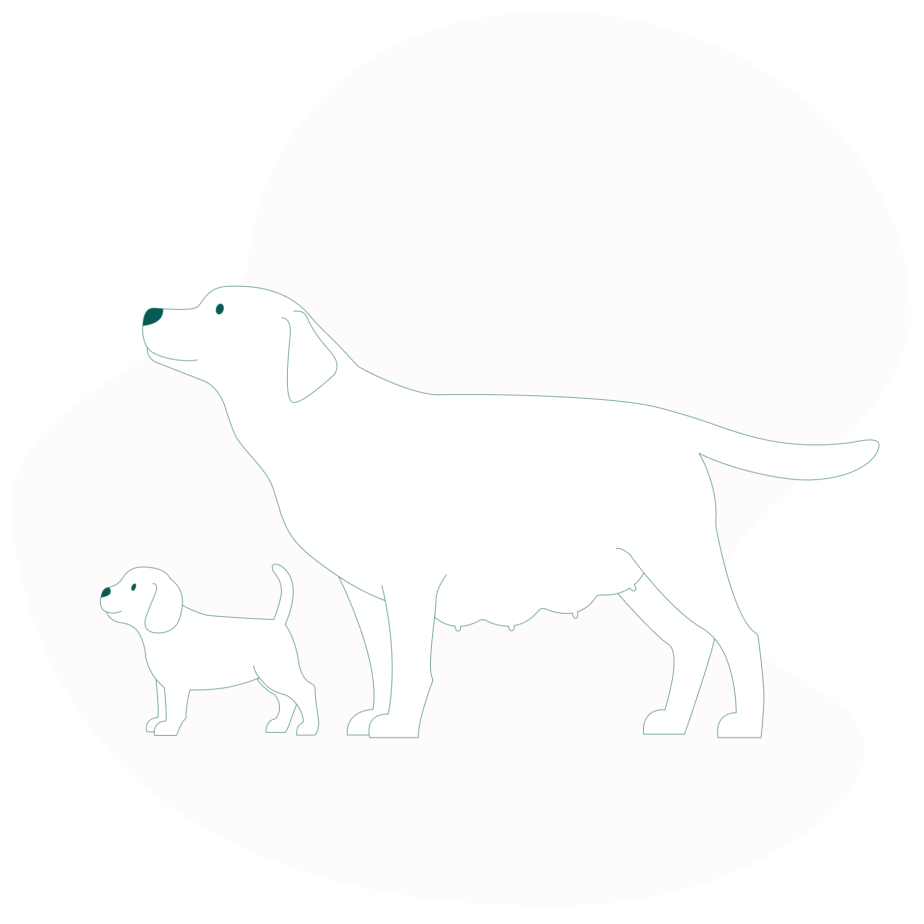 Når kan valpene forlate moren? Alt om alder, utvikling og trygg overgang