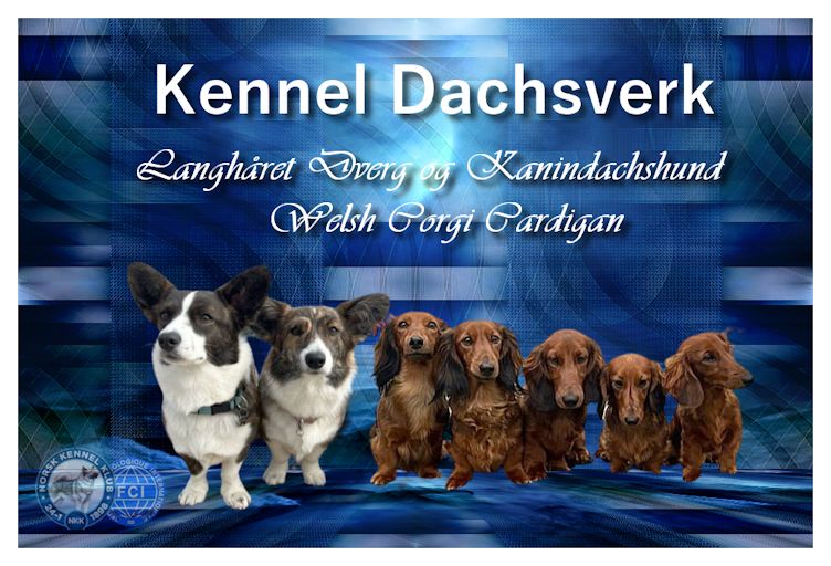 Kennel Dachsverk