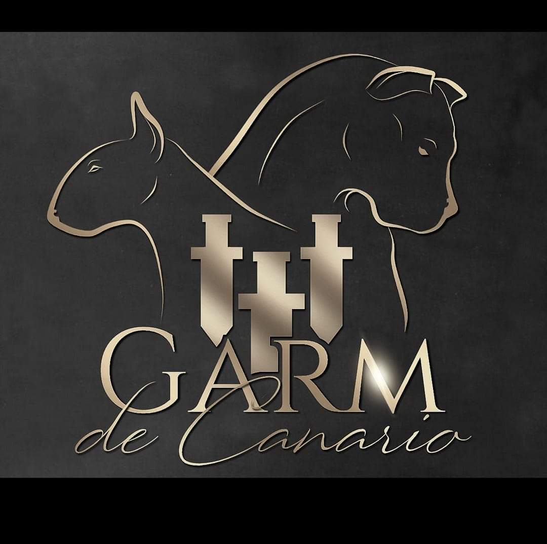 Garm de Canario 