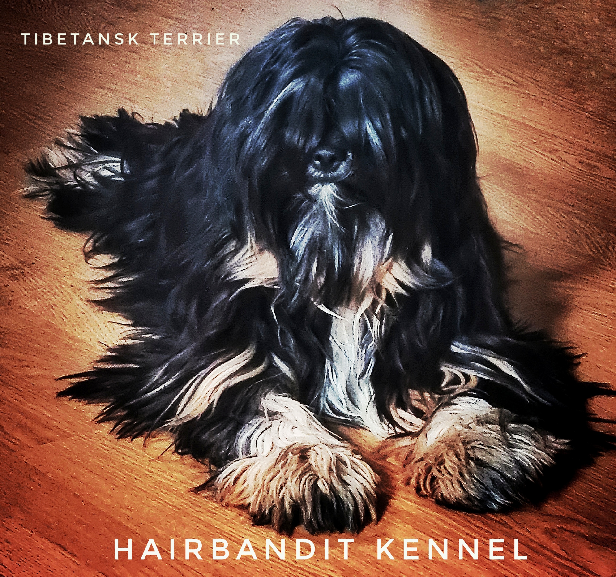 Hairbandit Kennel