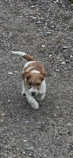 Isnesgårdens Qualitychecked Isnesgårdens Qualitychecked