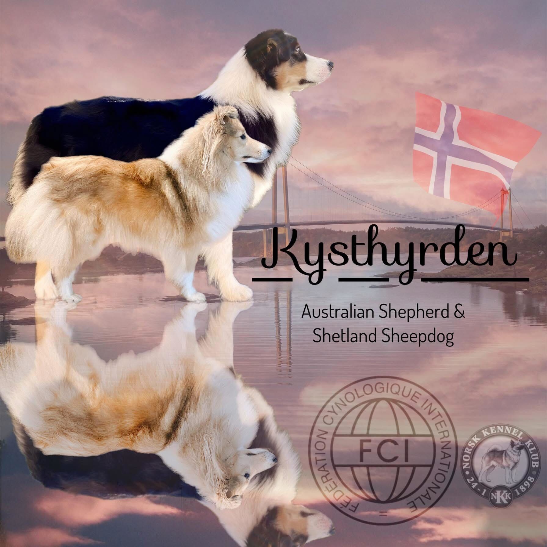 Besøk Kennel Kysthyrden 