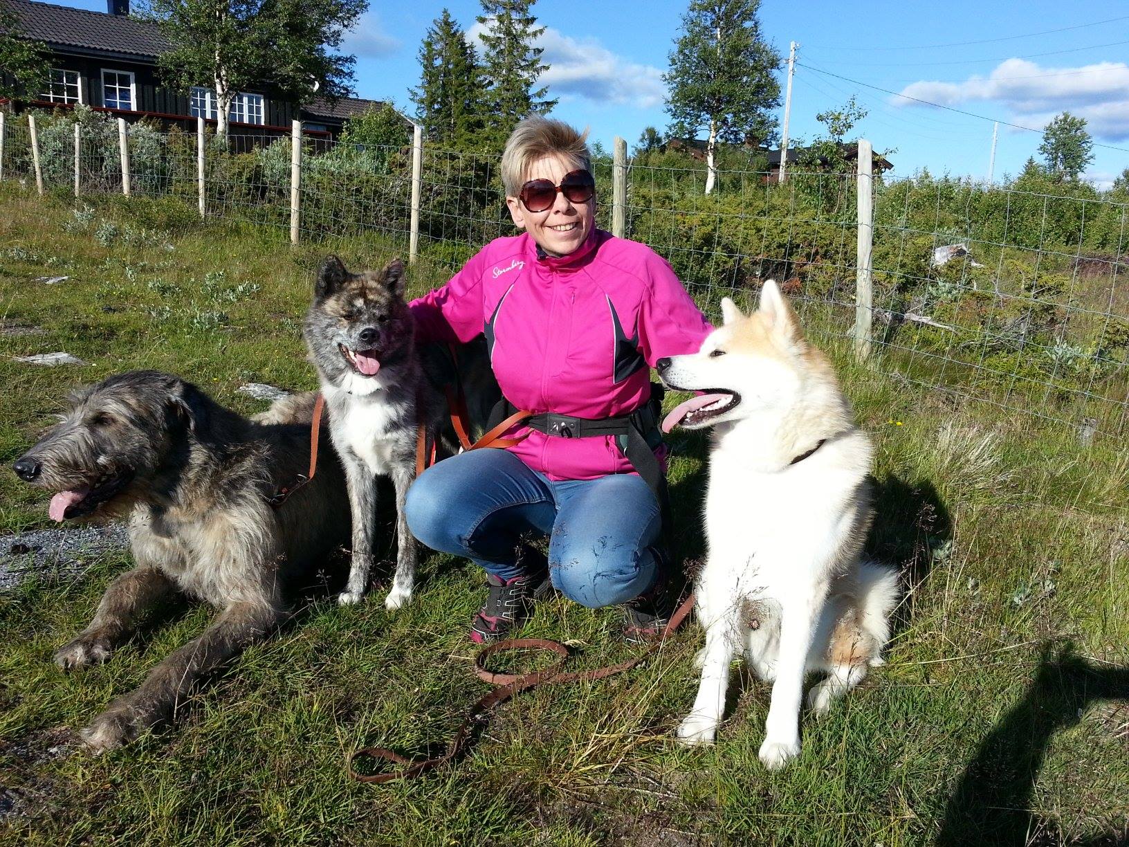 kennel linekjørven