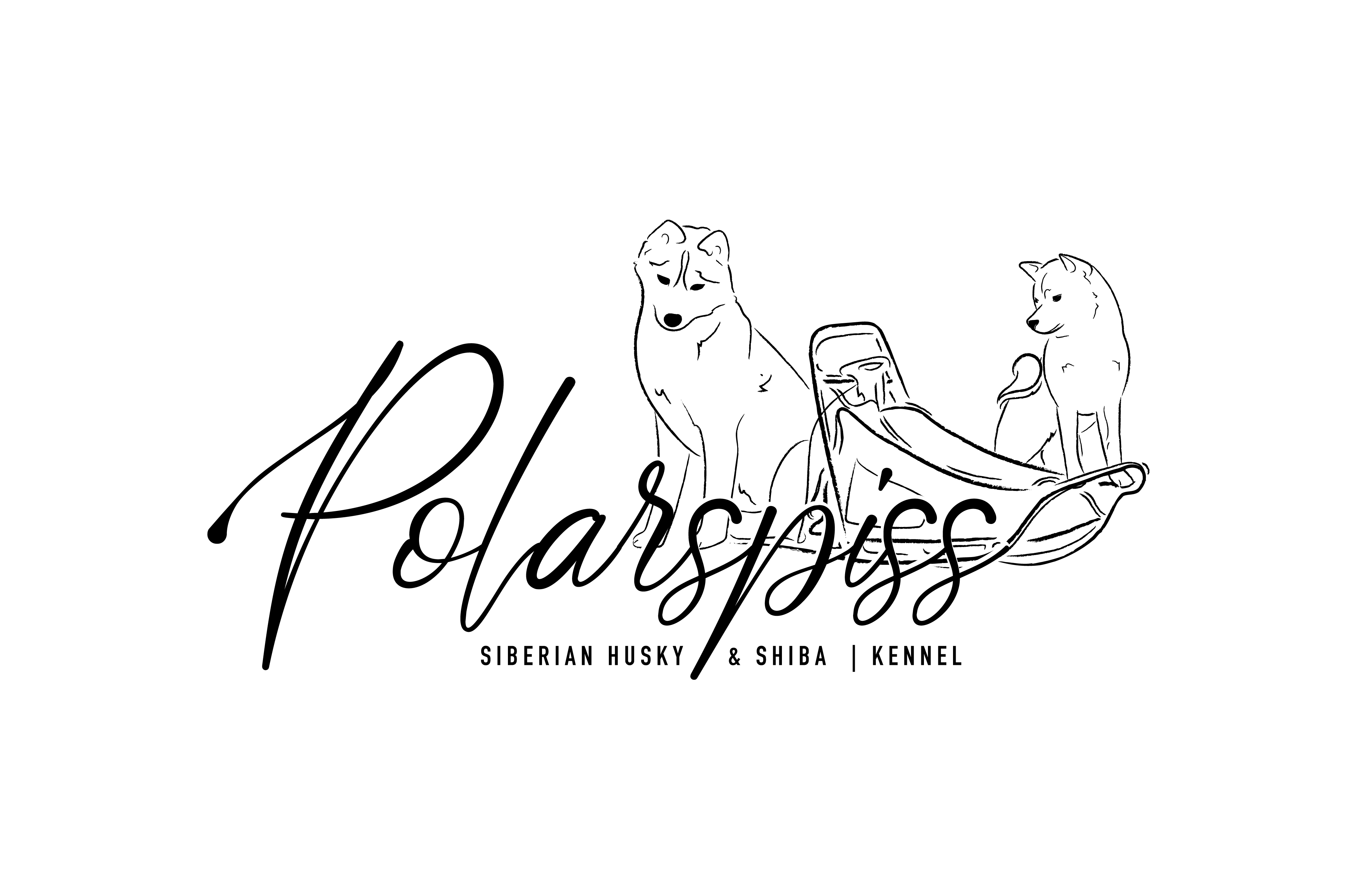 Polarspiss