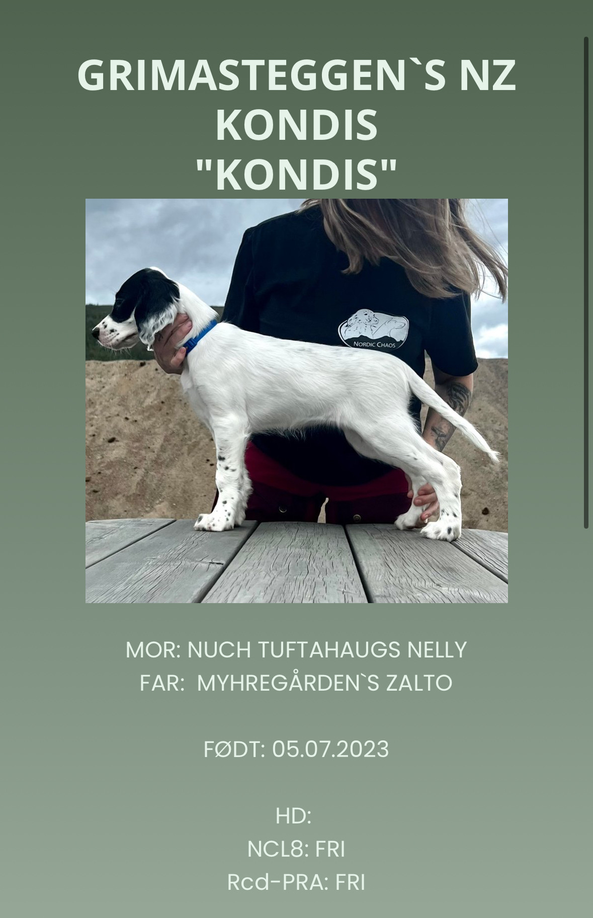 Grimasteggen's NZ Kondis