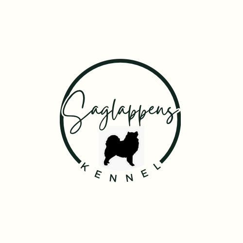 Saglappens Kennel