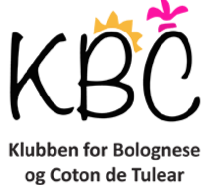 Klubben for Bolognese og Coton de Tulear