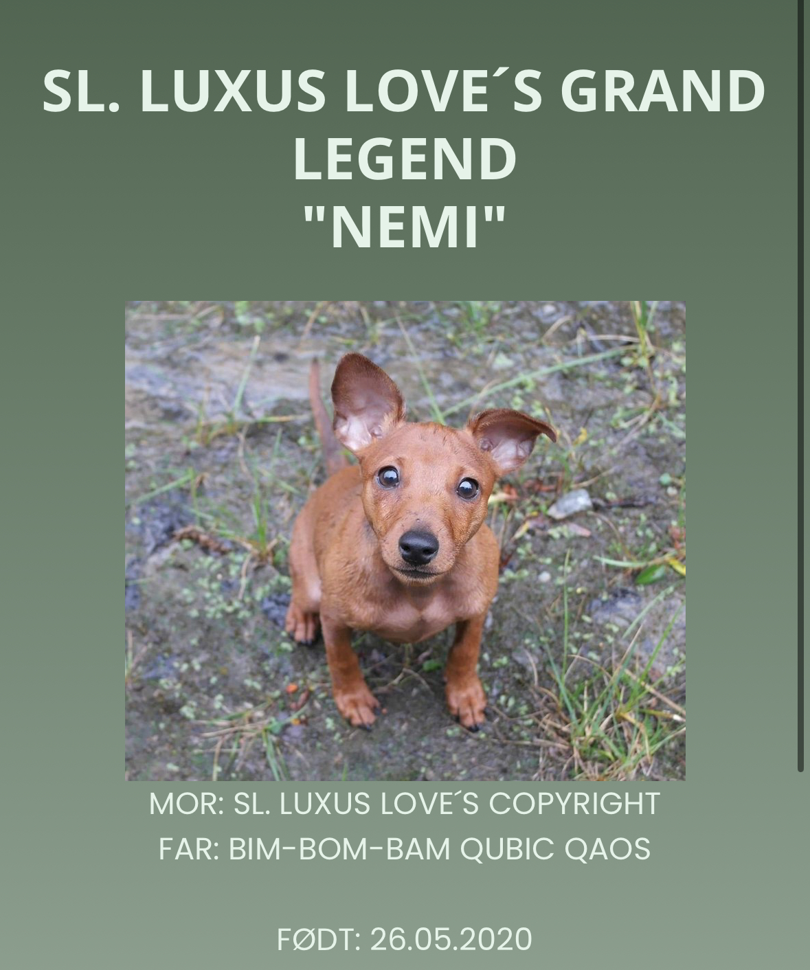 SL. Luxus Love’s Grand Legend