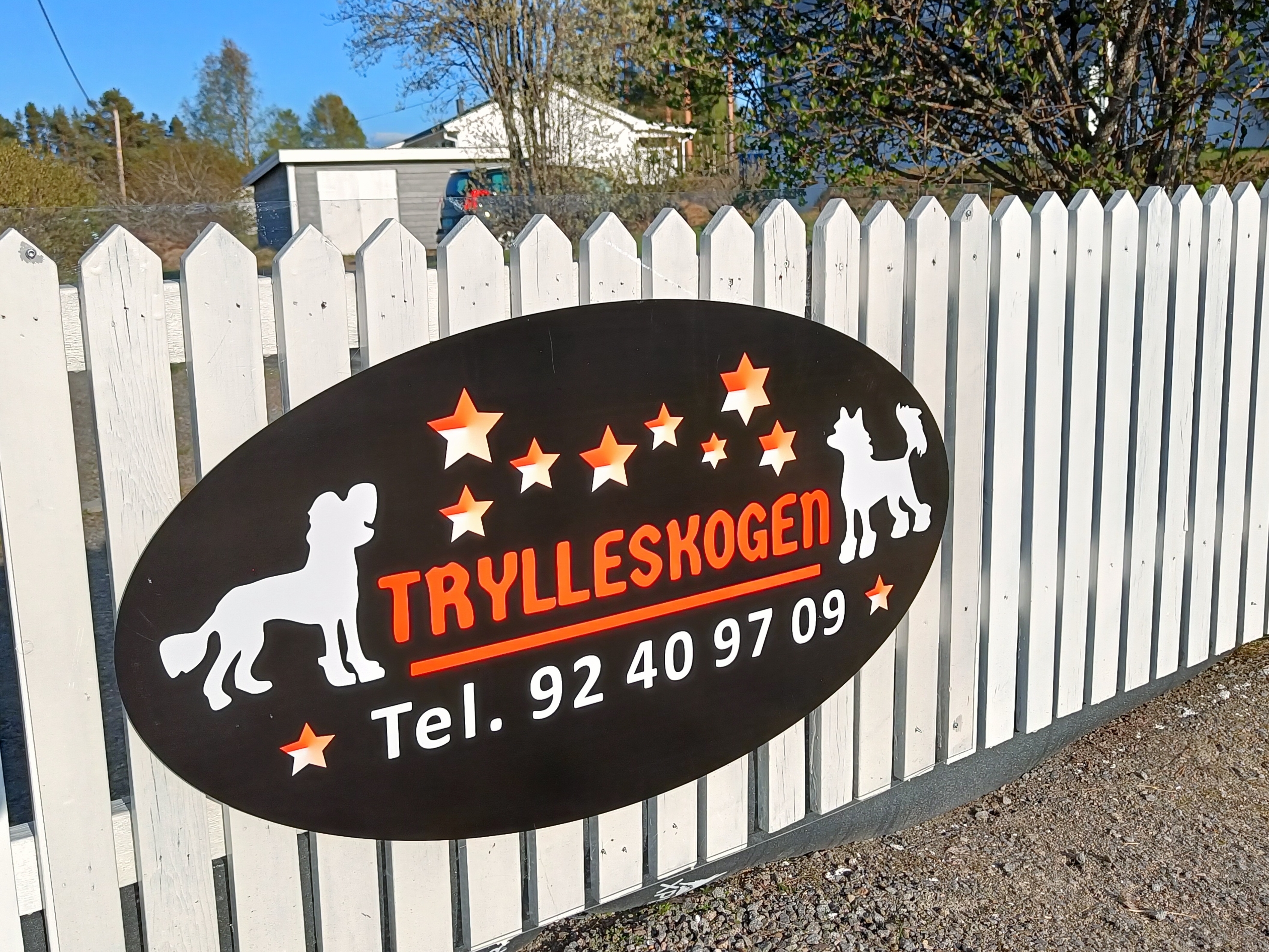 Trylleskogen