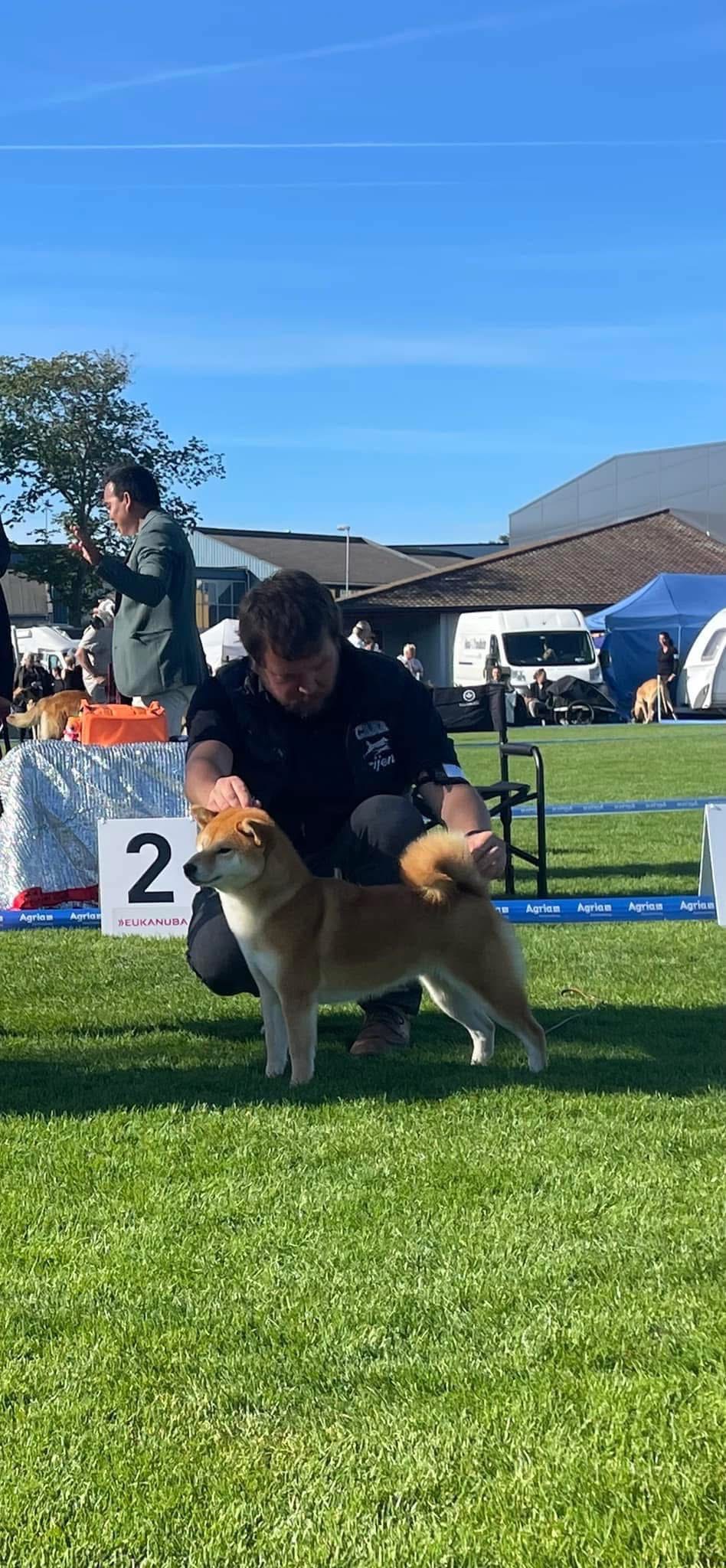 N UCH NJV-21 Negi-inu's Queen of Ølenskjold N UCH NJV-21 Negi-inu's Queen of Ølenskjold