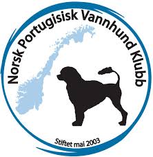 Portugisisk Vannhund