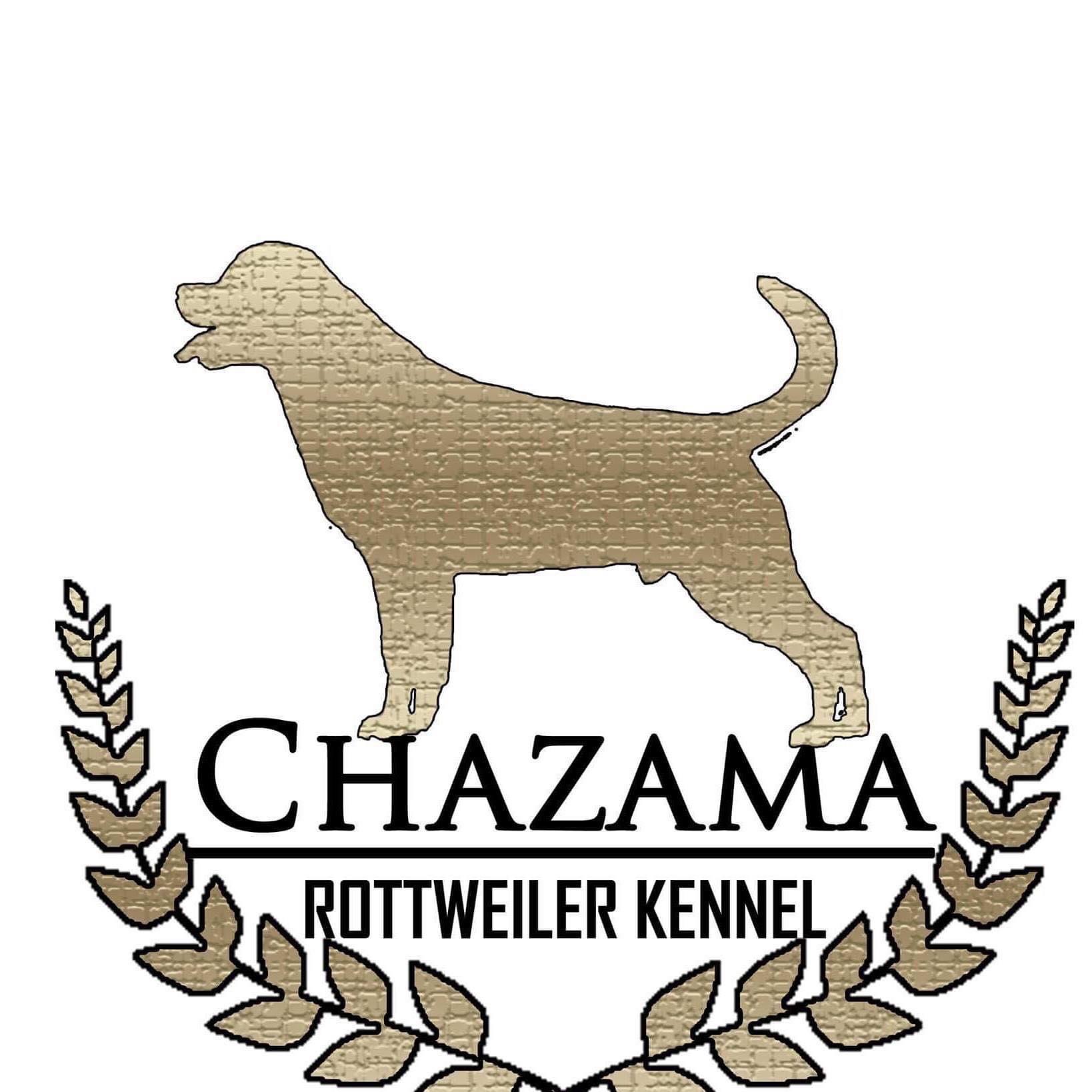 Chazama Kennel