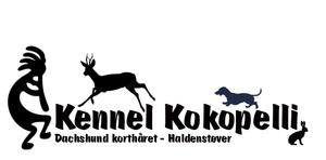 Kokopelli