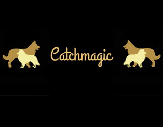 Catchmagic