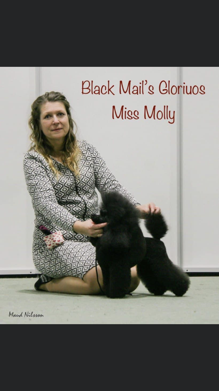 N FI SE DK uch Njv/NV/NordJV/NordV-18 NV-19 Black Mail’s Glorious Muss Molly