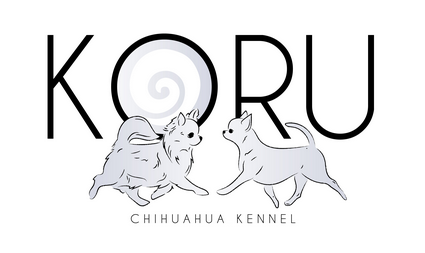 Koru Chihuahuas