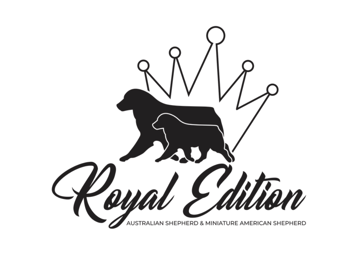 Royal Edition 