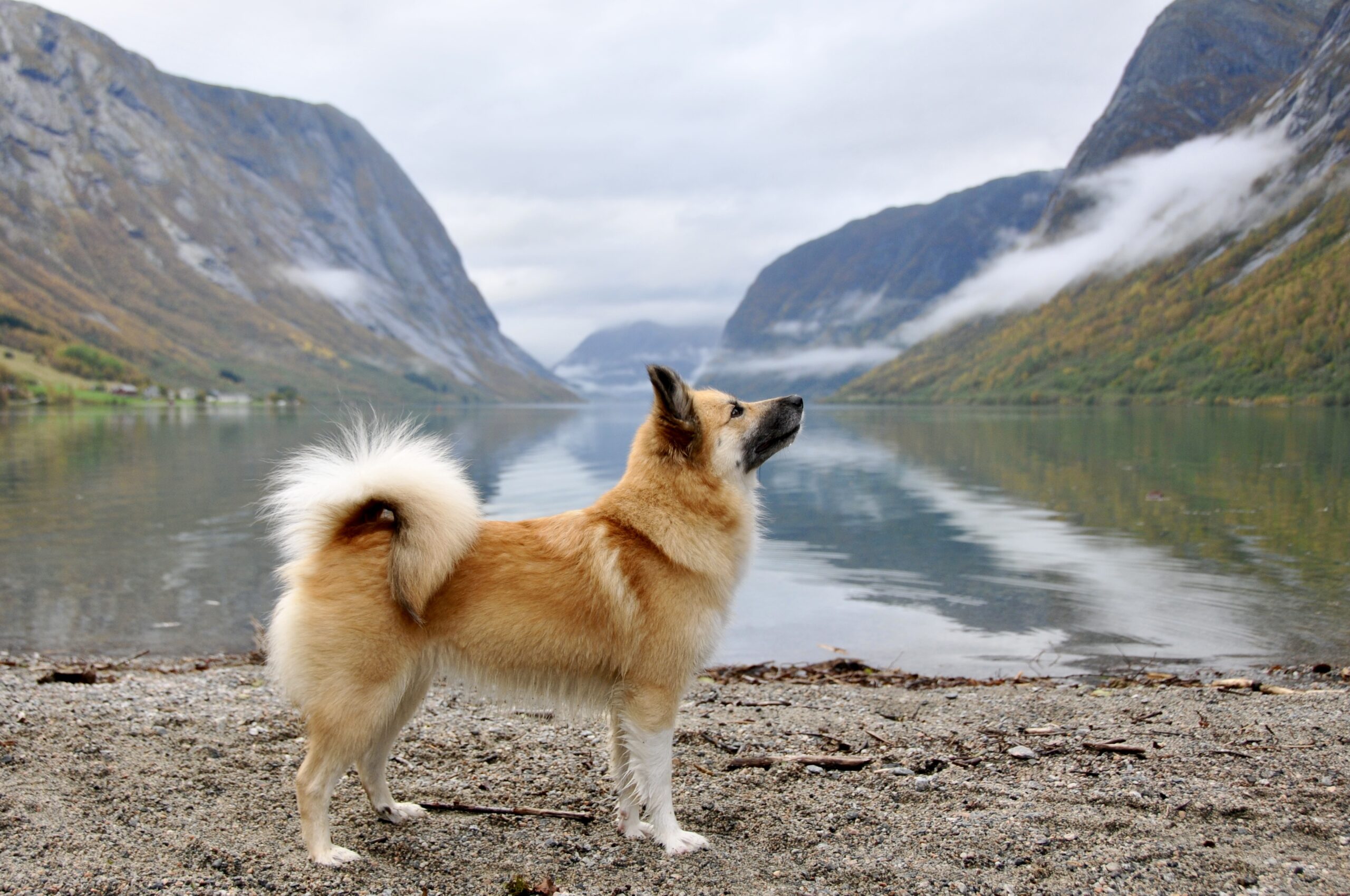 Dirfa (Lita i det daglige)