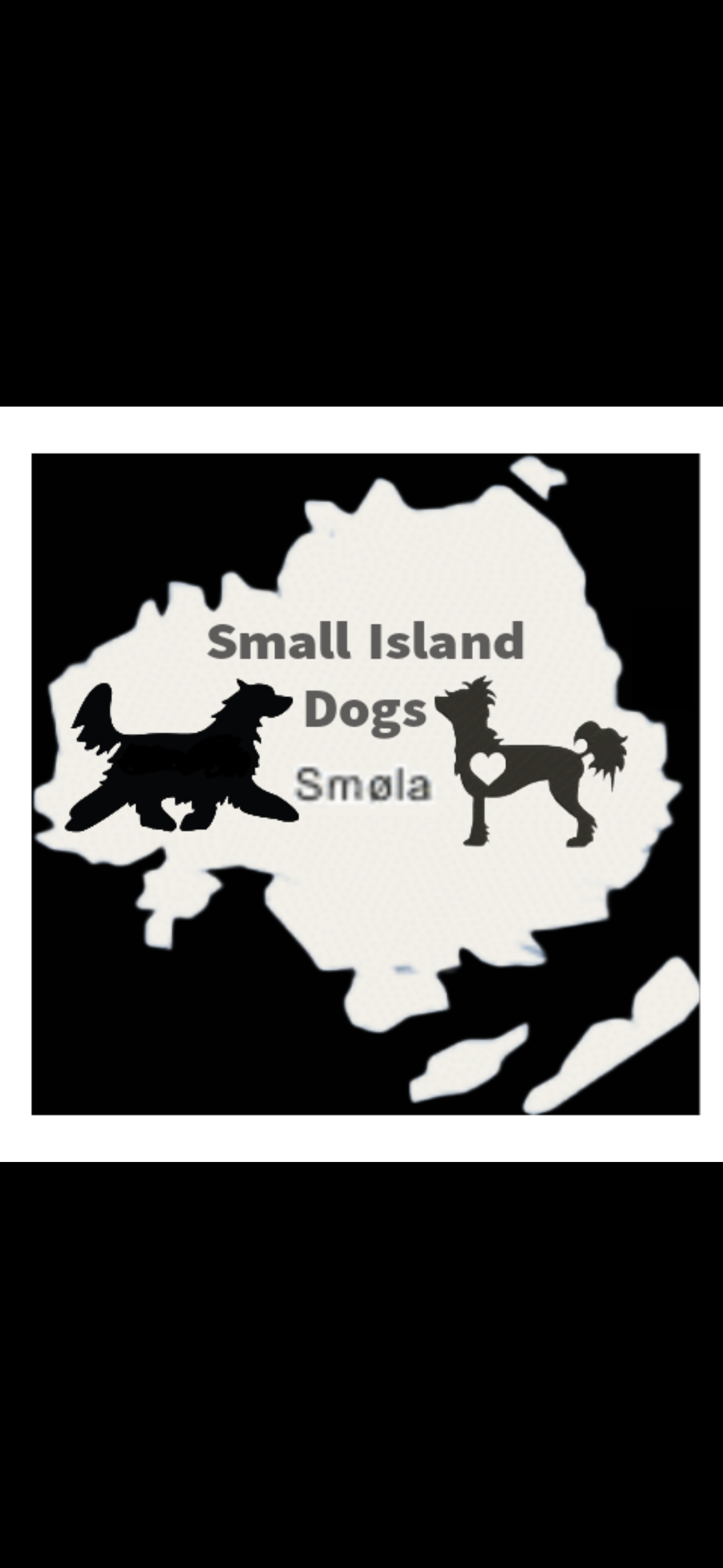 Smal Island Dogs