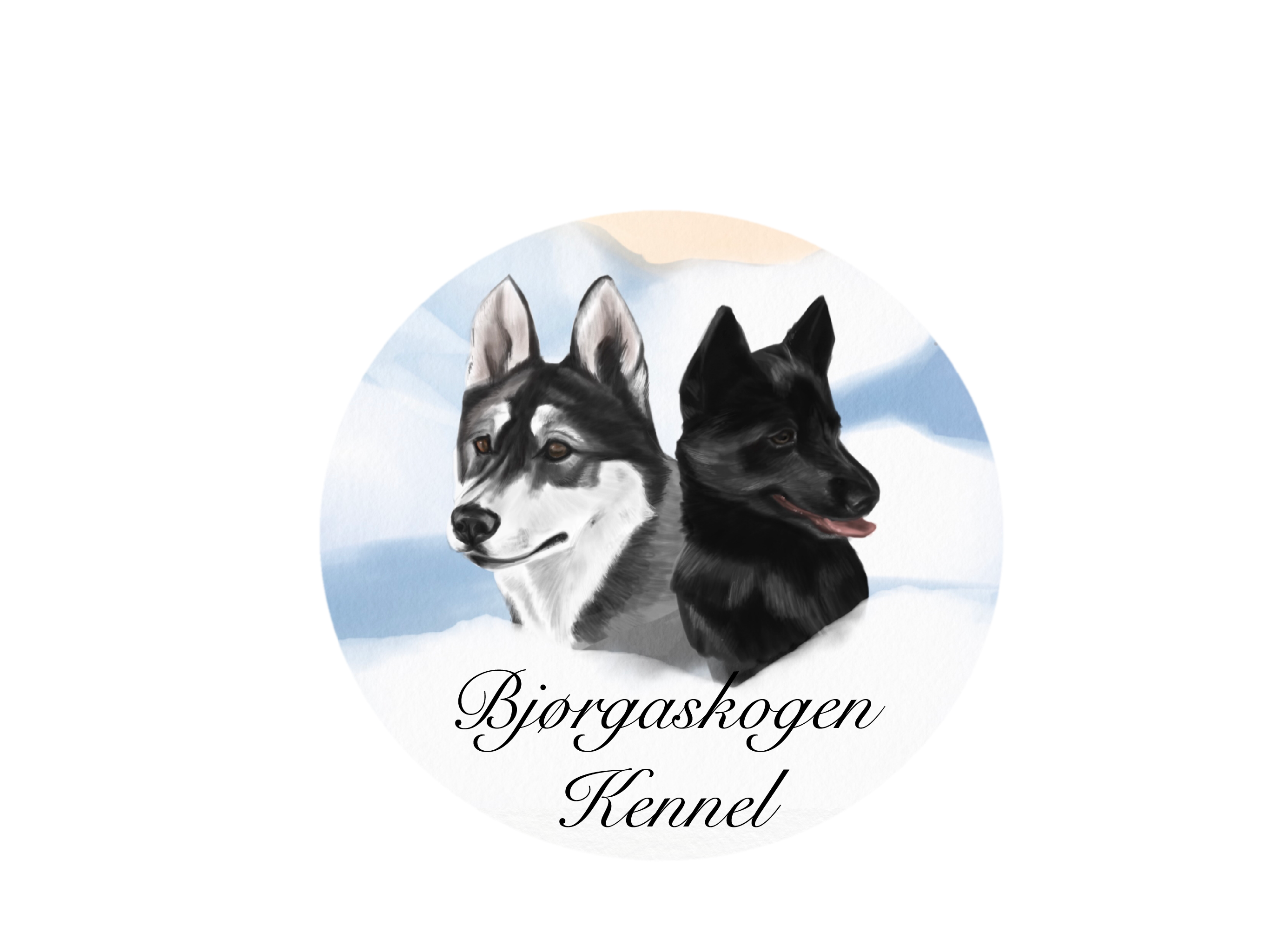 Bjørgaskogen Kennel