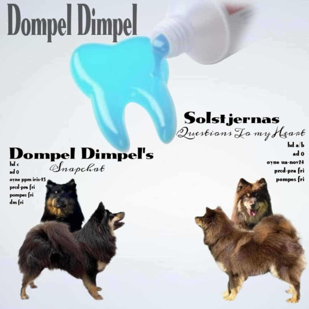 Toothpaste