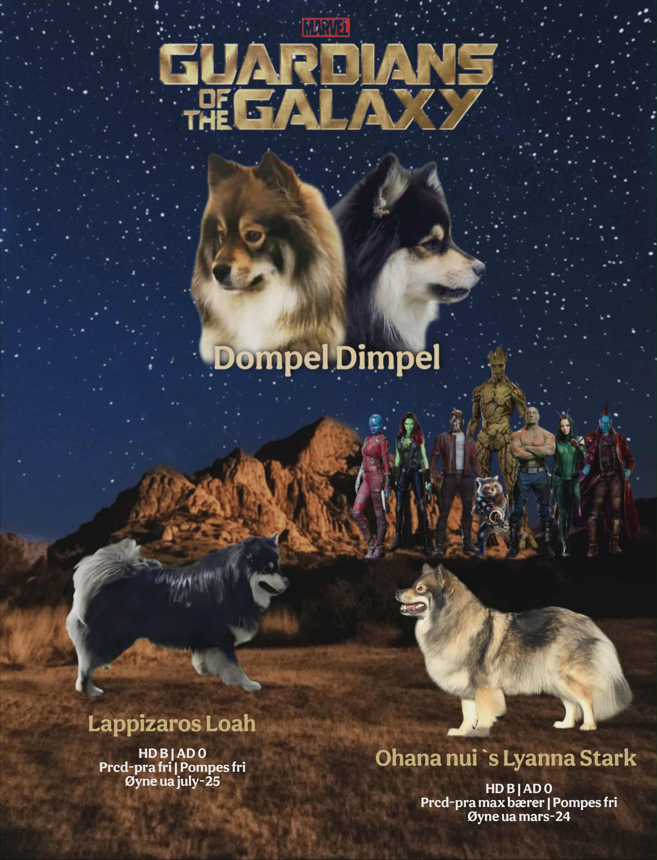 Guardian of the galaxy  Guardian of the galaxy